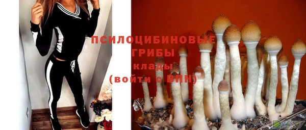 эйфоретик Медвежьегорск