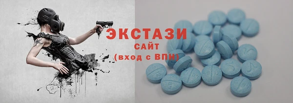 гидра Чердынь