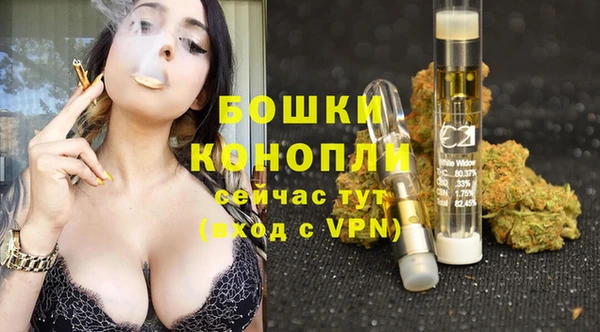 тгк Медногорск