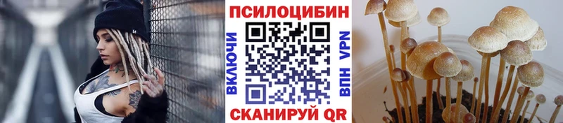 Псилоцибиновые грибы GOLDEN TEACHER  Вышний Волочёк 